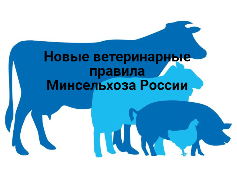 Новые ветеринарно-санитарные правила перевозки и убоя животных, переработки, хранения и реализации продуктов животноводства.